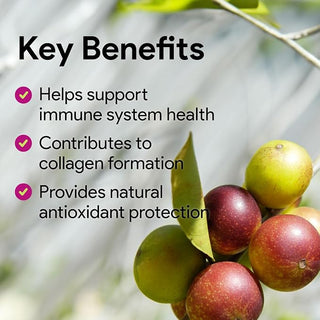 Camu Camu 500mg, lot de 2 | Vitamine C Naturelle, 240 Gélules | Canada