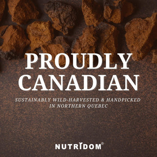 Nutridom Canadian Chaga Mushroom 360mg (120 Capsules)