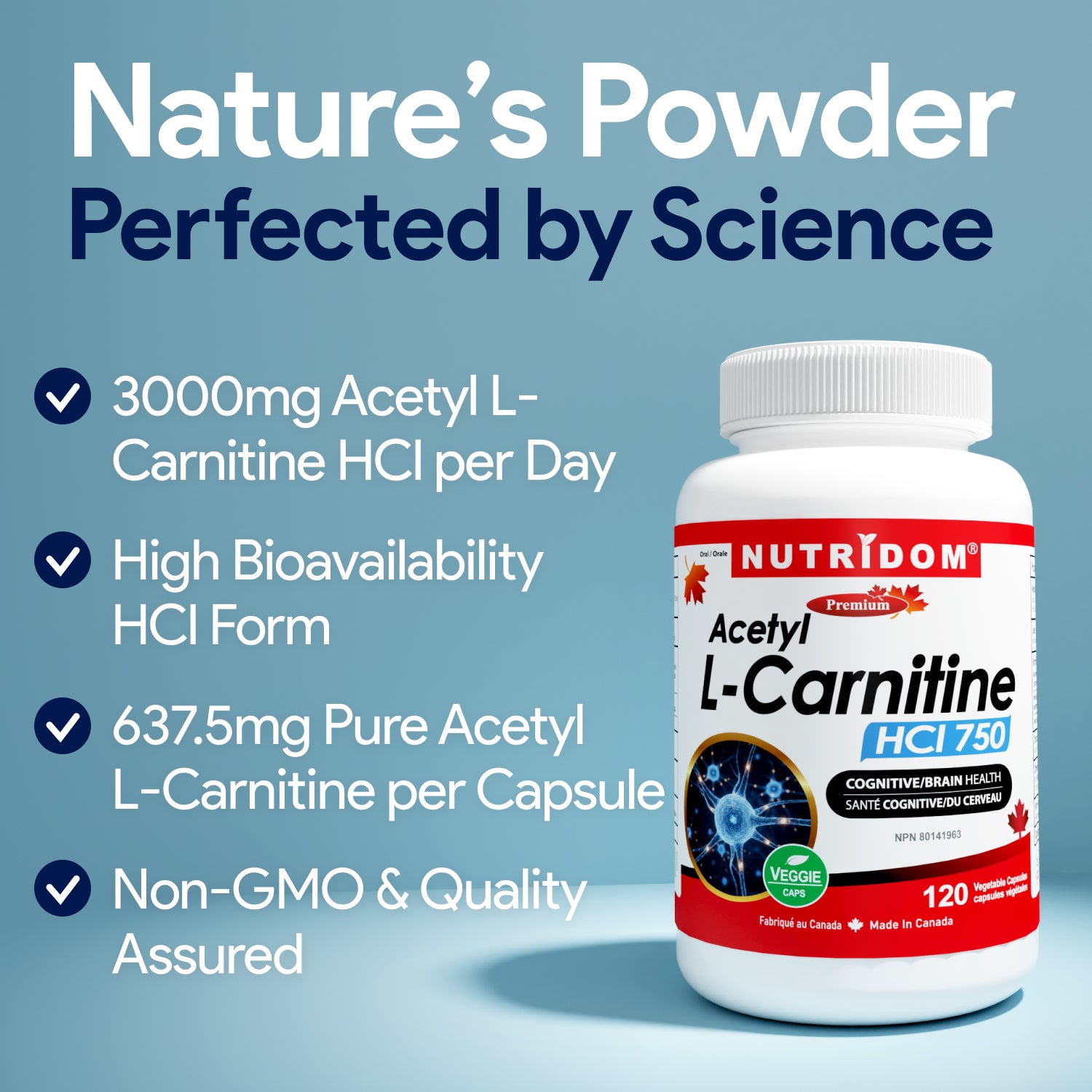 Acetyl L-Carnitine 637.5mg | Source of Carnitine | Cognitive Function Nutridom Acetyl L-Carnitine 637.5mg | Source of Carnitine | Cognitive Function Nutridom