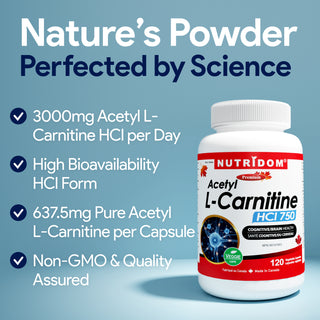 Acetyl L carnitine 637.5 mg capsules dietary supplement