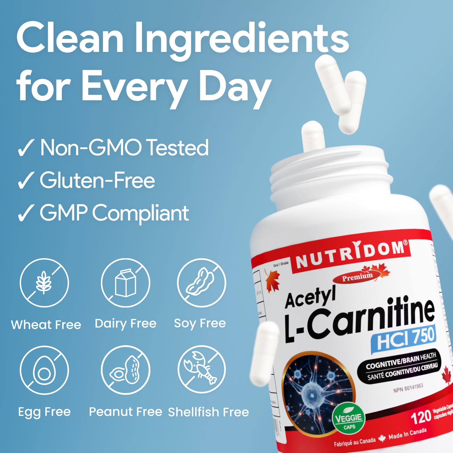 Acetyl L-Carnitine 637.5mg | Source of Carnitine | Energy Metabolism and Cognitive Function | 120 Vegan Capsules Acetyl L-Carnitine 637.5mg | Source of Carnitine | Energy Metabolism and Cognitive Function | 120 Vegan Capsules