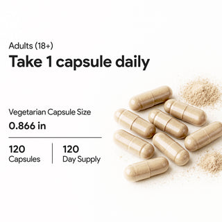 Ashwagandha 10x Formula with 5% Withanolides and Black Pepper Extract