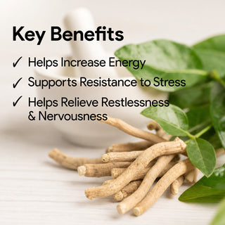 Ashwagandha 6,000 mg Root Equivalent with 5% Standardized Withanolides