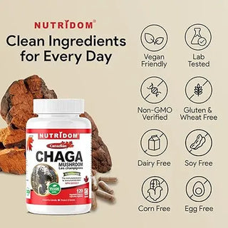 Canadian chaga mushroom mycelia sclerotium capsules 360 mg