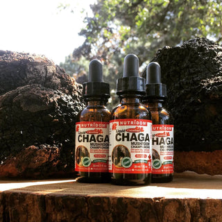 Chaga Mushroom Liquid Tincture