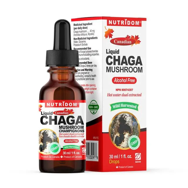 Chaga Mushroom Liquid Tincture 30ml | Hot Water Extracted – Nutridom