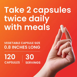 Chitosan 95 percent deacetylated fiber supplement capsules