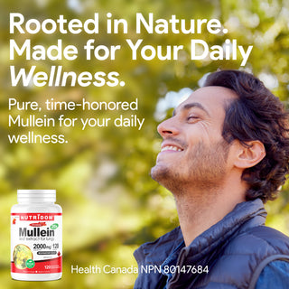 Concentrated Mullein Extract Capsules for Respiratory and Lung Health