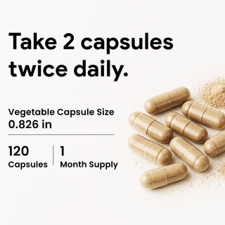 Racine de pissenlit Nutridom 500 mg (5 000 mg QCE) (120 gélules)