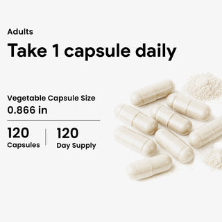 Nutridom DIM 200 | Diindolylmethane 200 mg | Estrogen & Hormone Balance | 120 V-Capsules