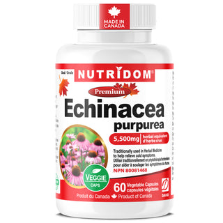NUTRYDOM Echinacea purpurea supplement bottle on a white background