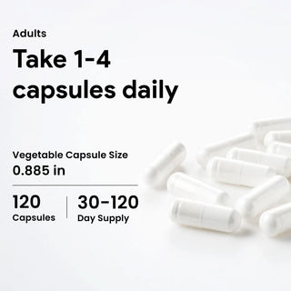 GABA 750 mg daily wellness supplement capsules