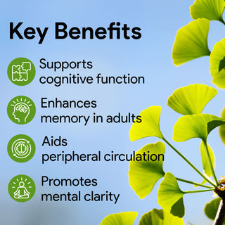 Ginkgo Biloba 12000 Herbal Formula for Brain and Vascular Support