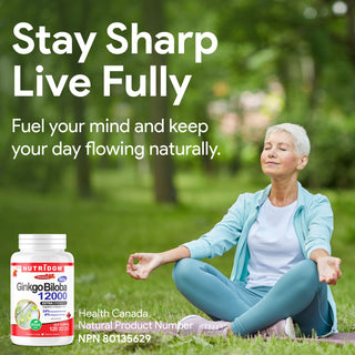 Ginkgo Biloba 12000 for Brain Health and Vascular Wellness