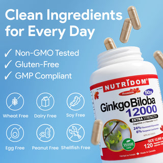 Ginkgo Biloba Extract for Cognitive Function and Healthy Circulation