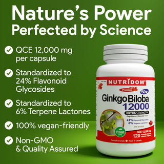 High-Potency Ginkgo Biloba Supplement for Memory and Circulation