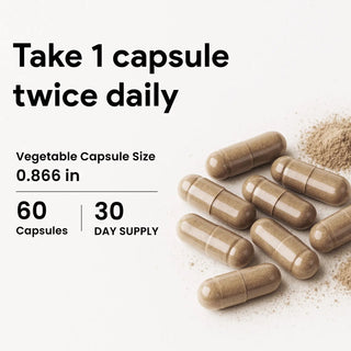 Himalayan shilajit daily wellness supplement 60 capsules