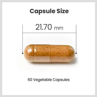 IVIZON Max supplement bottle vision and eye support formula