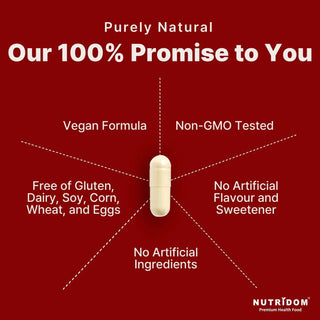 Korean red ginseng supplement bottle 500 mg herbal extract