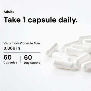 L theanine 250 mg daily wellness supplement 60 capsules
