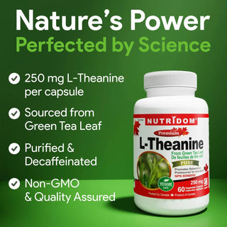 L theanine 250 mg supplement capsules for relaxation support