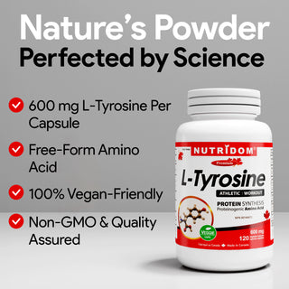 L tyrosine 600 mg protein synthesis support supplement capsules