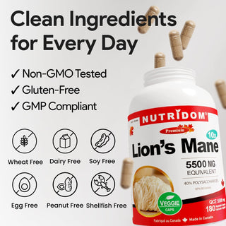 Lion's mane 40 percent polysaccharides daily wellness supplement