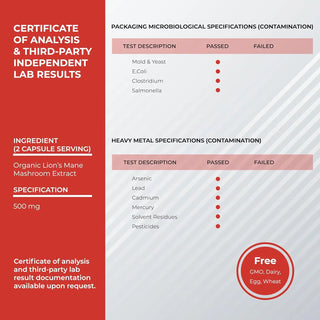 Lion's mane mushroom 500 mg supplement capsules