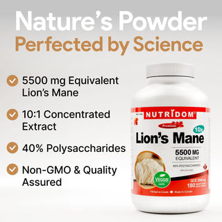 Lion's mane mushroom extract 40 percent polysaccharides supplement