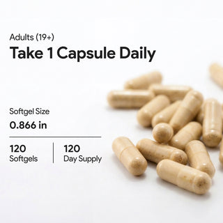 Milk Thistle 600mg | Silybum marianum | Standardized to 80% Silymarin | Liver Support | 120 Vegan Capsules
