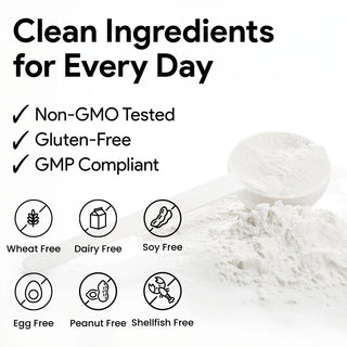 Nutridom Magnesium Malate 500mg Powder | Unflavoured | 150 Grams | Vegan | 60 Servings