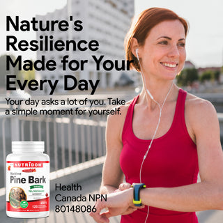 Maritime Pine Bark 450mg | 70% Procyanidins | Cardiovascular Support