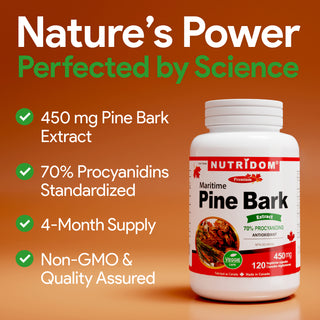 Maritime Pine Bark 450mg | 70% Procyanidins | Circulation & Vascular Health