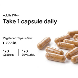Maritime Pine Bark 450mg | Antioxidant & Cellular Health Support | 120 Vcaps