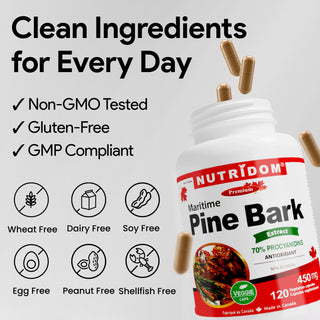 Maritime Pine Bark Extract 450mg | Standardized to 70% Procyanidins | 120 Vcaps