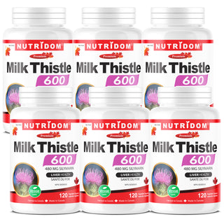 Milk Thistle 600mg | 80% Silymarin | Liver Support | 6 Pack