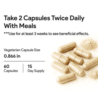 Milk Thistle and NAC Detox Support Supplement with 60 Vcaps