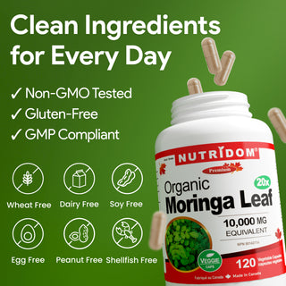 Moringa Leaf Extract 20x | 500mg | QCE 10,000mg | Antioxidant Support | 120 Vegan Capsules