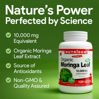 Moringa leaf extract 20 to 1 500 mg concentrated herbal supplement
