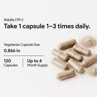Moringa leaf extract 20x daily wellness supplement 120 capsules