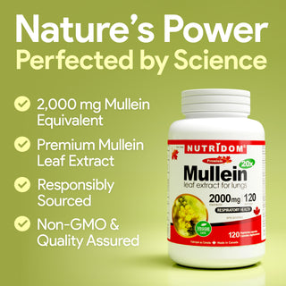 Mullein 20x | 2,000 mg Equivalent | Respiratory Health | 120 Vcaps