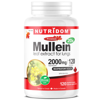Mullein 20x Extract 2,000 mg Equivalent for Respiratory Health, 120 Vcaps