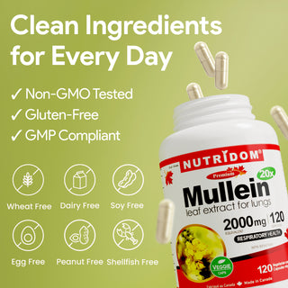 Mullein 20x Herbal Supplement for Breathing and Respiratory Wellness