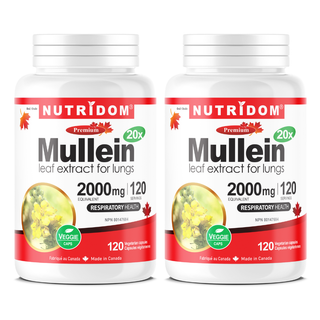 Mullein 20x | Respiratory Support | 120 Vcaps | 2 Pack