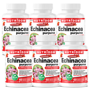 Echinacea Purpurea 550mg Extract | 5500mg QCE | 60 Vcaps 6 Pack