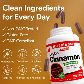 Organic Ceylon cinnamon 600 mg daily wellness supplement