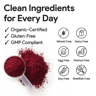 Organic beetroot powder dietary supplement natural nitrates