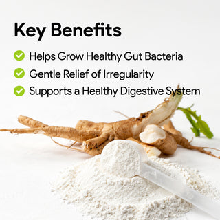 Inulin Powder 333 g | Prebiotic Fibre | Gut Microbiome & Digestive Health