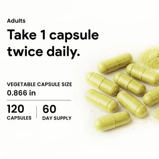 Quercetin and Bromelain supplement bottle 120 vcaps