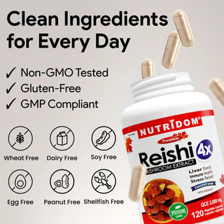 Reishi mushroom extract herbal supplement capsules